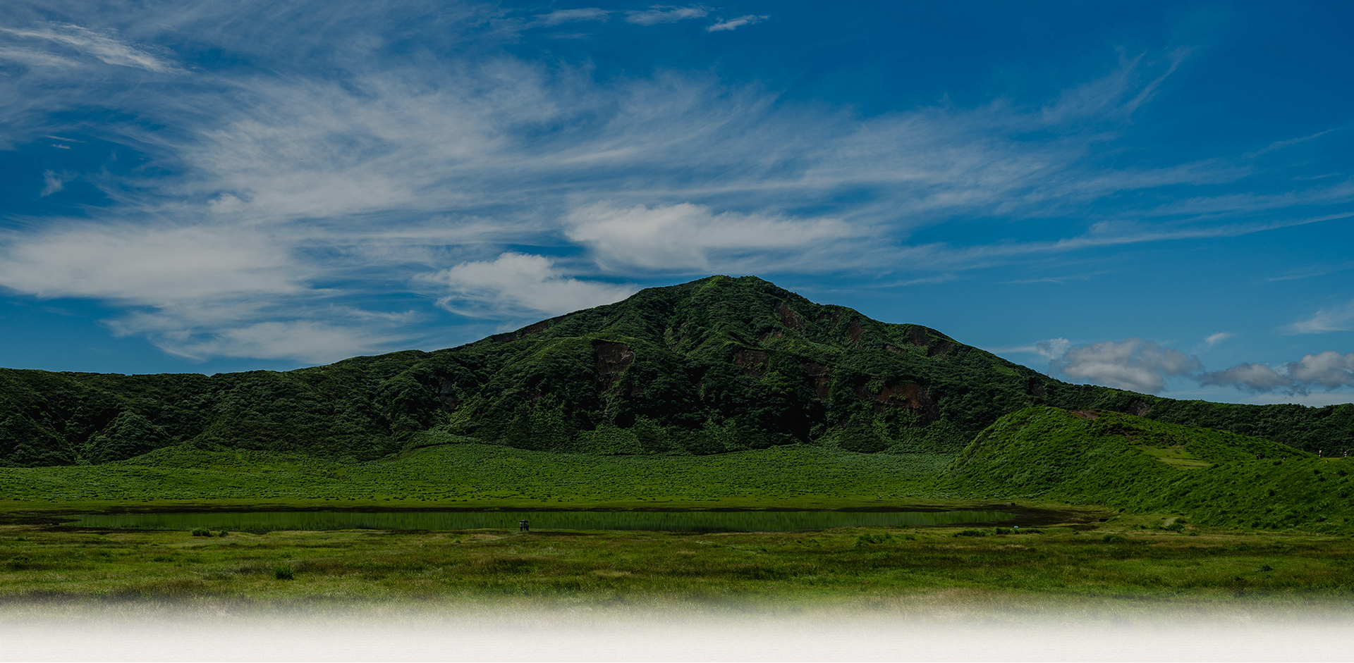 熊本産南郷檜 Green’s Label